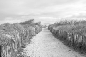 Ballade dans les dunes